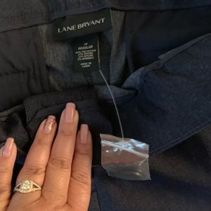 Lane Bryant Sophie Pants. Brand new, never worn.